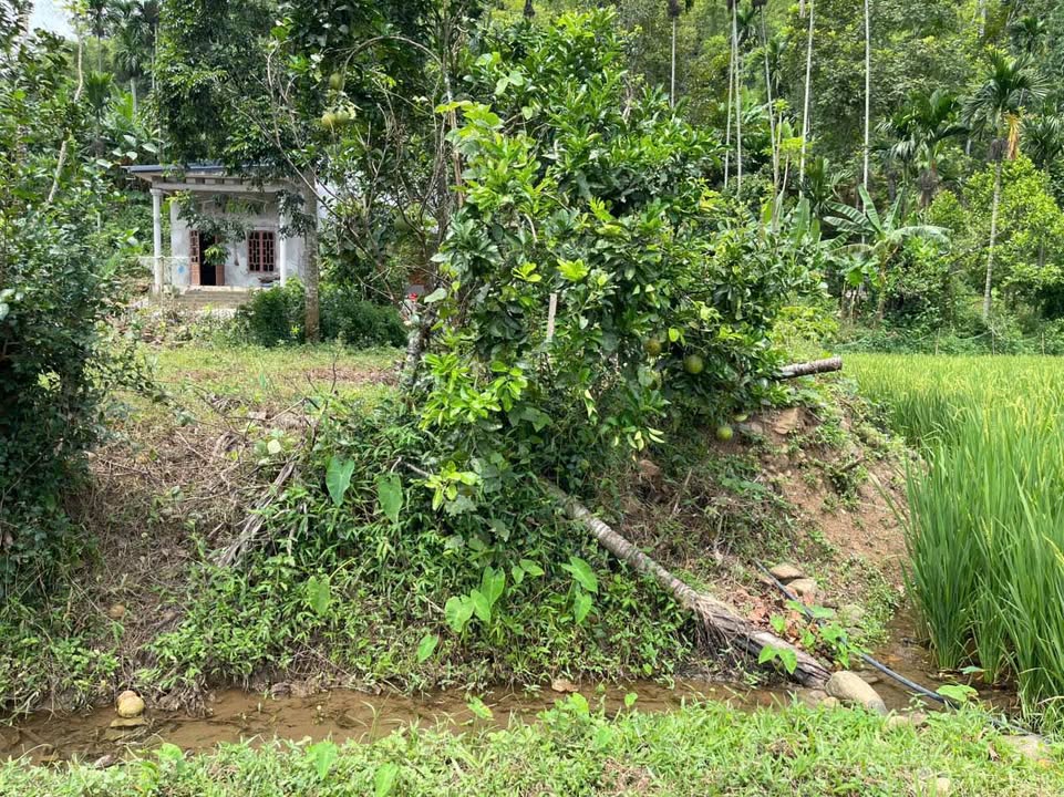 Đất nghỉ dưỡng Hợp Tiến Kim Bôi 1306m² giá 1 tỷ - Lô góc 2 mặt tiền siêu đẹp!