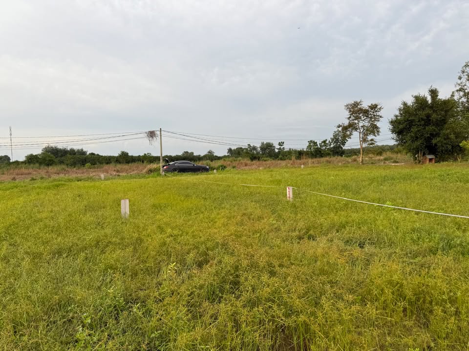 Đất thổ cư 135m² Gò Dầu Tây Ninh giá 390 triệu - Cơ hội đầu tư không thể bỏ lỡ!