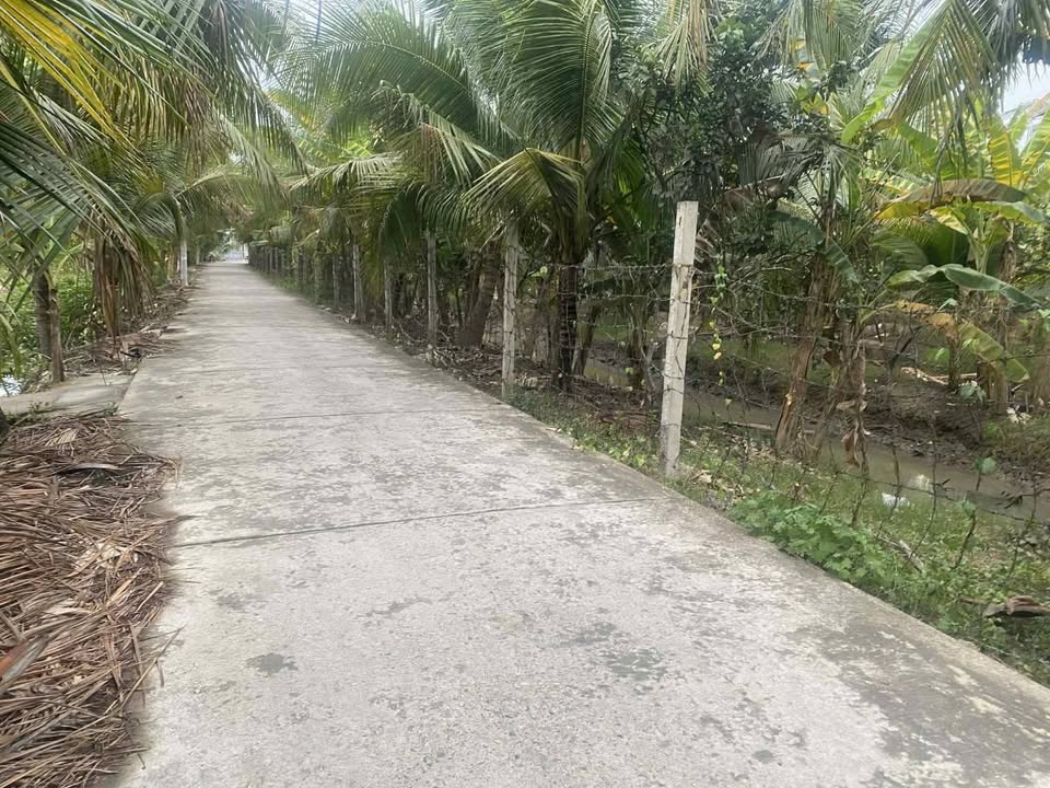 Đất nền mặt tiền đường 4m tại Huyện Châu Thành, Bến Tre 500m² - Giá chỉ 750 triệu