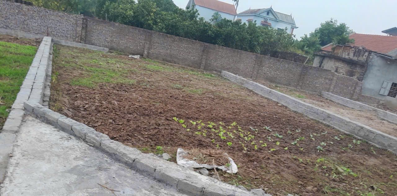 Đất nền thôn Lạt Dương, Phú Xuyên 120m² giá chỉ 1.339 tỷ - Cắt lỗ sâu, bán gấp!