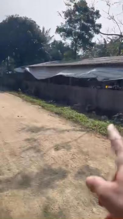 Đất Farm 3.846,9m² tại Thôn Chợ Đập, Phú Thọ - Bám đường bê tông 111m, giá 5 tỷ!