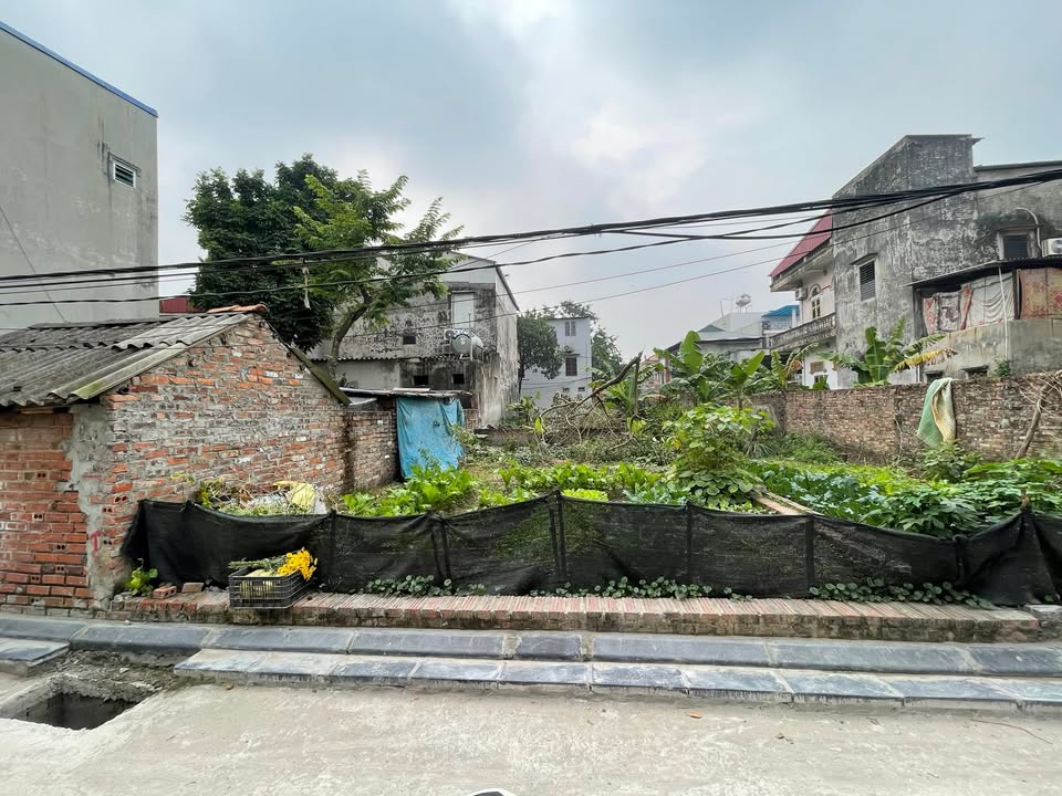 Đất thổ cư tại thôn Lương Quy, Thư Lâm 66m² giá 3 tỷ - Đường ô tô vào thoải mái!