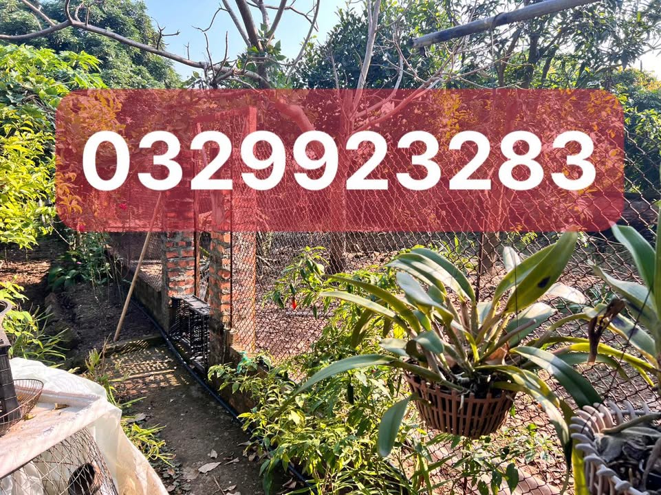 Đất nền Đa Mai Bắc Ninh 730m² giá 3 tỷ - Cơ hội đầu tư tuyệt vời!