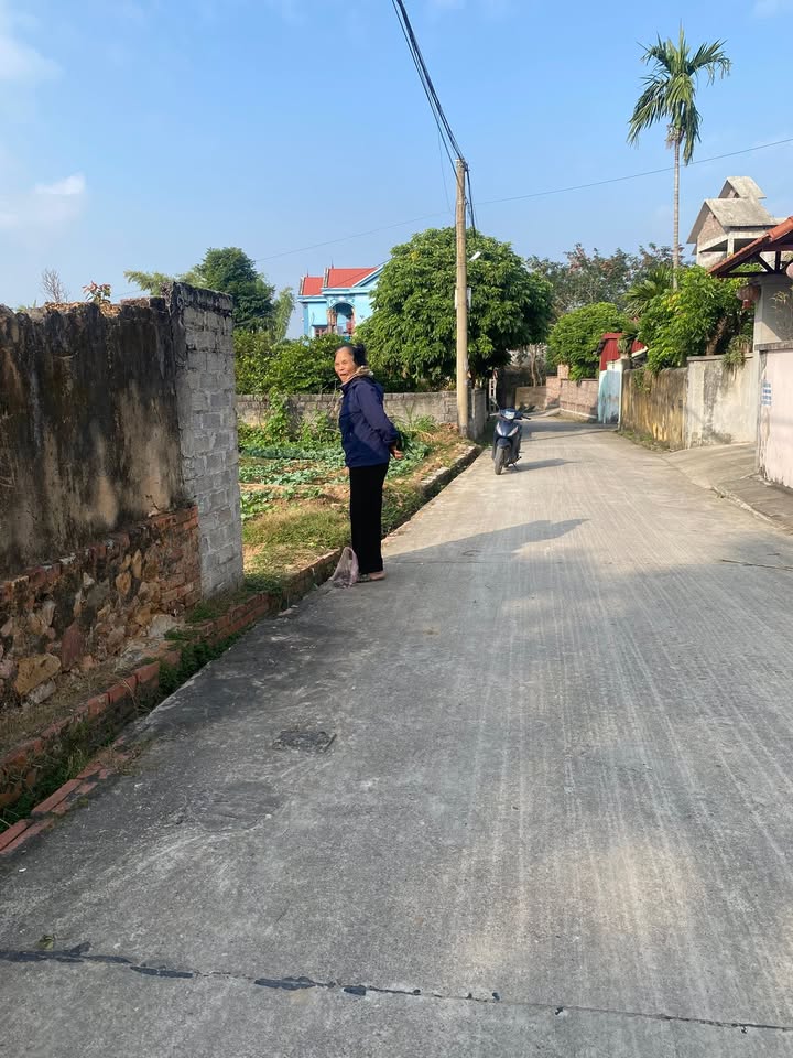 Đất nền TDP Quỳnh Sơn, Phường Tân An, 120m² giá 1.2 tỷ - Đường ô tô vào tận nơi!