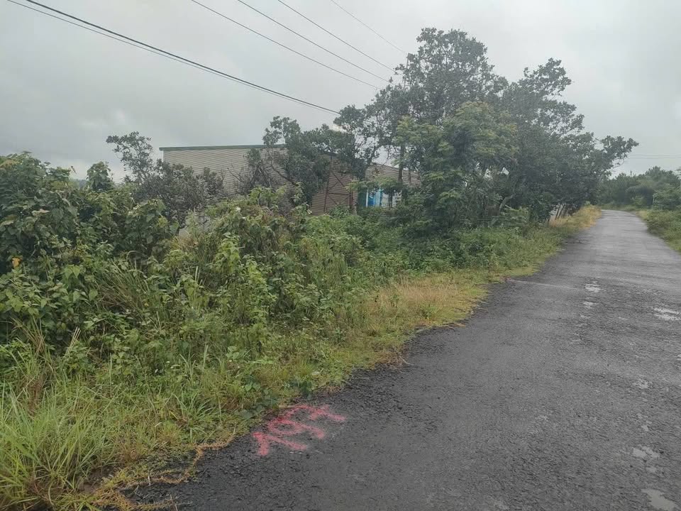 Đất mặt tiền đường nhựa tại phường Nghĩa Phú 3000m² - Giá tốt cho khách thiện chí!