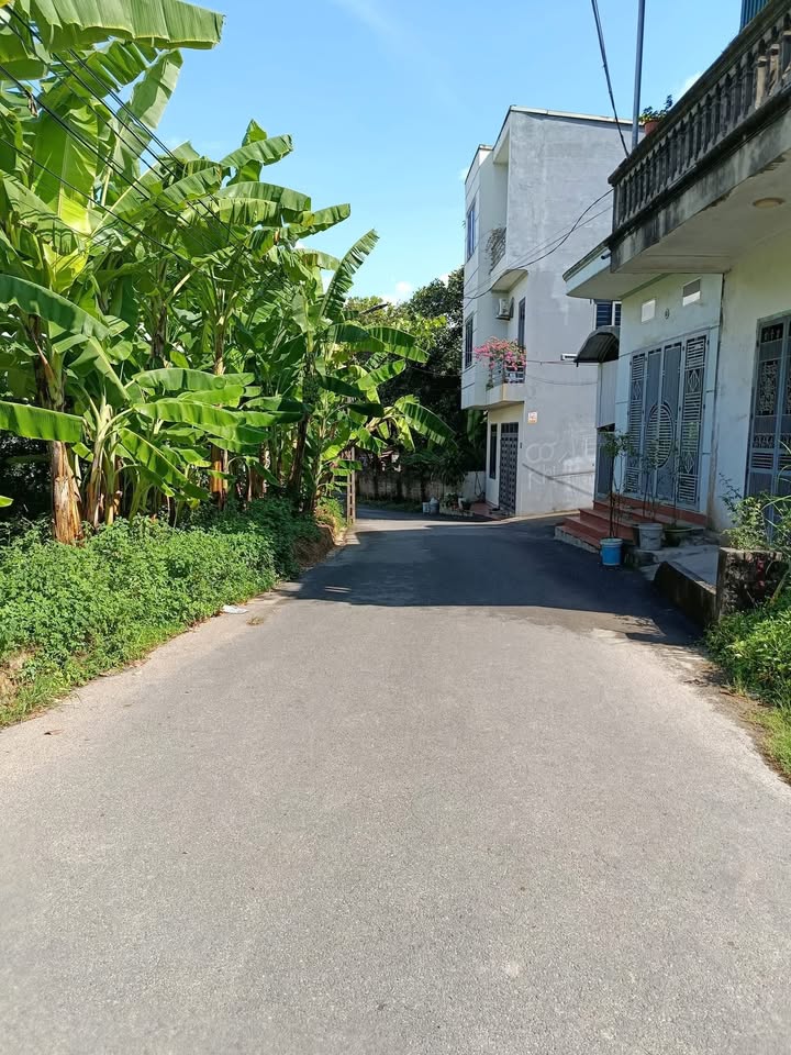 Đất nền Khu 14, phường Thanh Miếu, Việt Trì 108m² - Giá chỉ 3 tỷ!