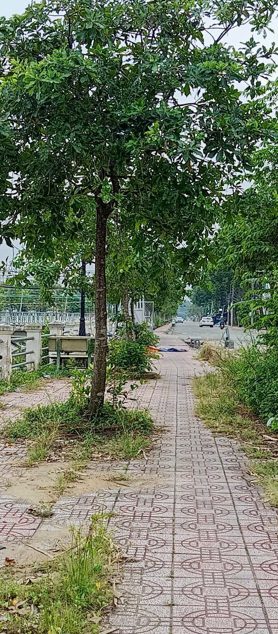 Bán gấp FrontHouse mặt tiền Trần Văn Nam, TP Tân An, 147m² chỉ 2.2 tỷ