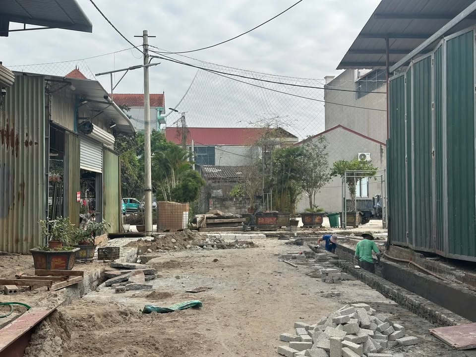 Đất đấu giá Phú Thi 123m² giá thỏa thuận - Vị trí đắc địa gần đường Vành Đai 4!