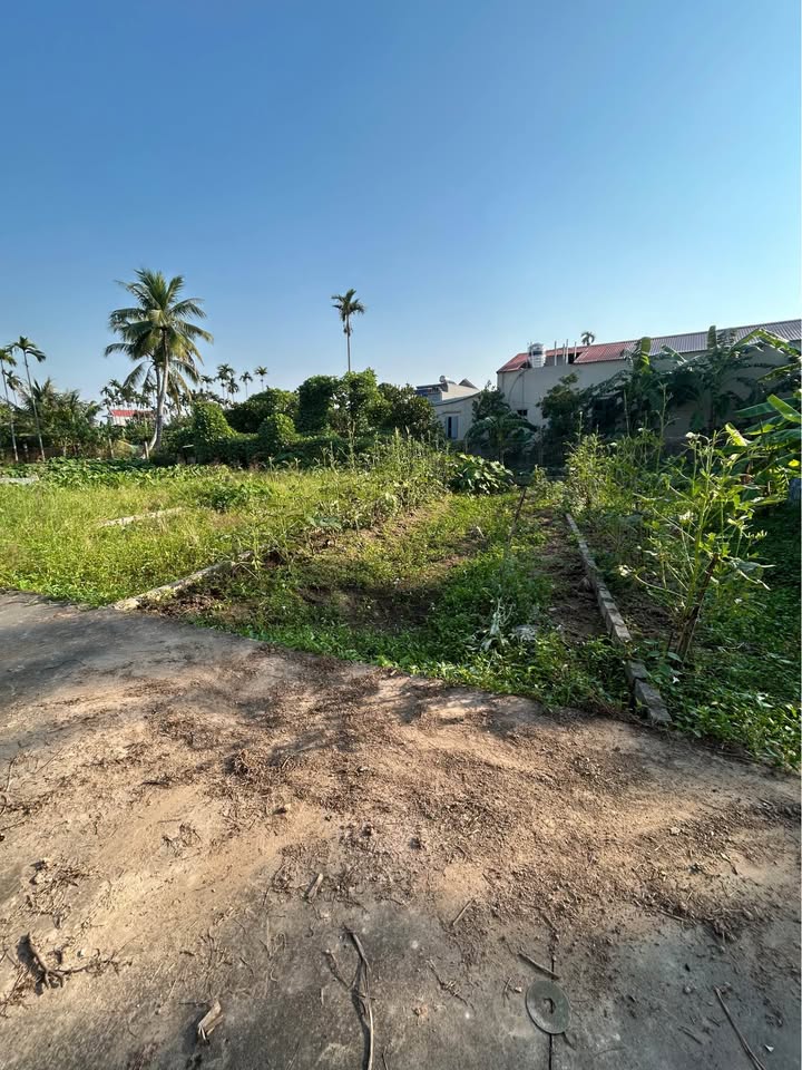 Đất nền Đa Tốn Gia Lâm 46m² - Đường ô tô đỗ cửa, đầu tư sinh lời!