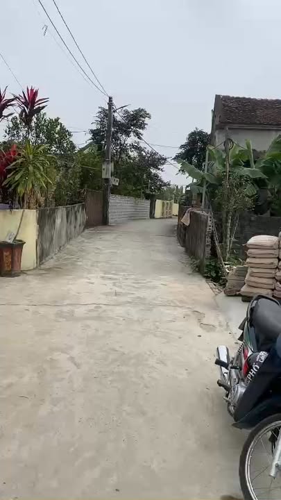 Nhà cấp 4 tại Thọ Vực, Triệu Sơn 238m² giá 700 triệu - Sẵn sàng vào ở ngay!