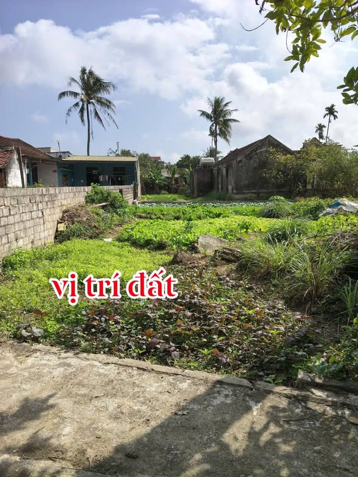 Lô đất thổ cư Hoằng Thanh 103.5m² giá 600 triệu - Đường ô tô vào thoải mái!