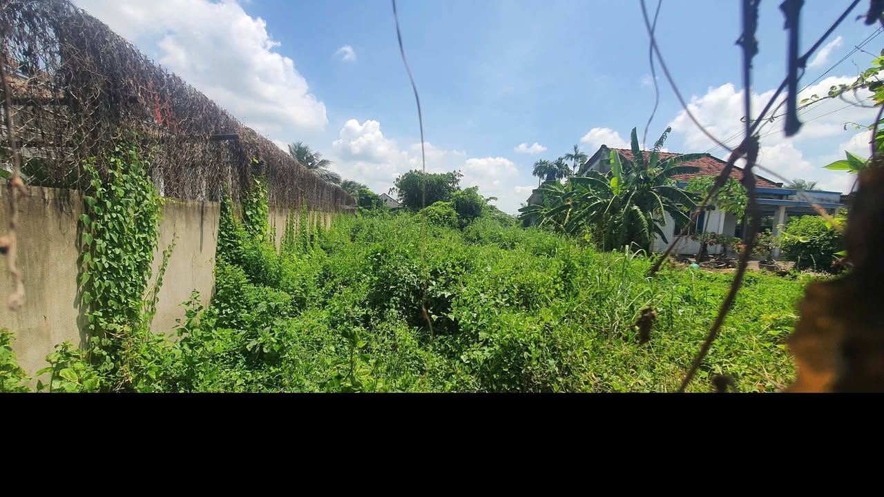 Đất thổ cư 490m² mặt tiền đường Chùa Pháp Minh giá 6.5 tỷ - Sổ hồng chính chủ!