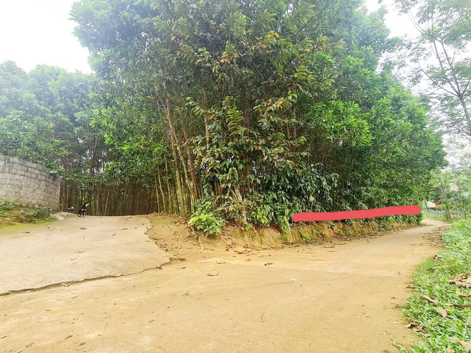 Đất nền xã Kiên Thọ, Ngọc Lặc, Thanh Hóa 100m² - Vị trí đắc địa, giá chỉ 1xx triệu!