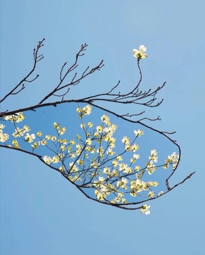 Đất nền đẹp Phường Thuỷ Xuân 110m² giá 3.8 tỷ - Sổ đỏ chính chủ!