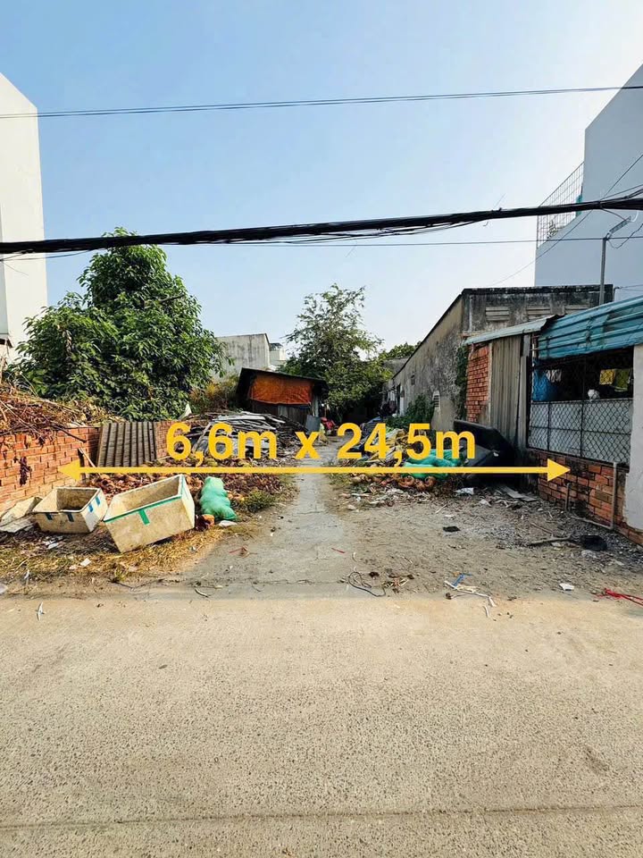 Đất nền đường Số 12, P.Cát Lái, Thủ Đức 161,4m² - Khu vực phát triển nhanh!