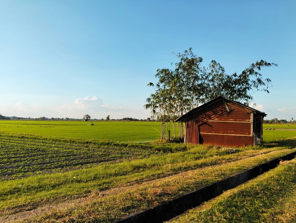 Đất nền nở hậu ấp Bàu Tép 1200m² - Cơ hội đầu tư không thể bỏ lỡ!