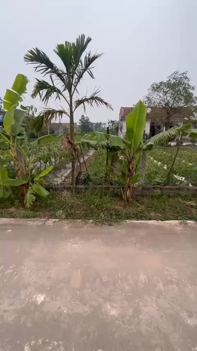 Đất nền Xóm 6 Nam Điền 840m² giá từ 177 triệu - Sở hữu ngay vị trí đắc địa!