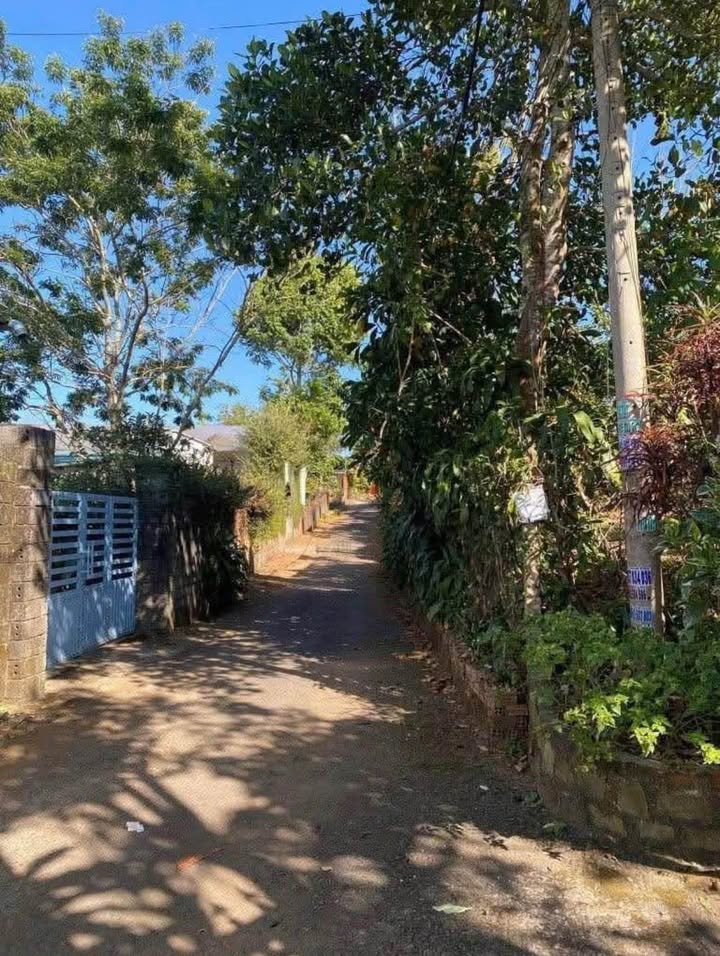 Nhà hẻm Bùi Thị Xuân, Bảo Lộc 204m² giá 3.1 tỷ - Sân ô tô tiện nghi!