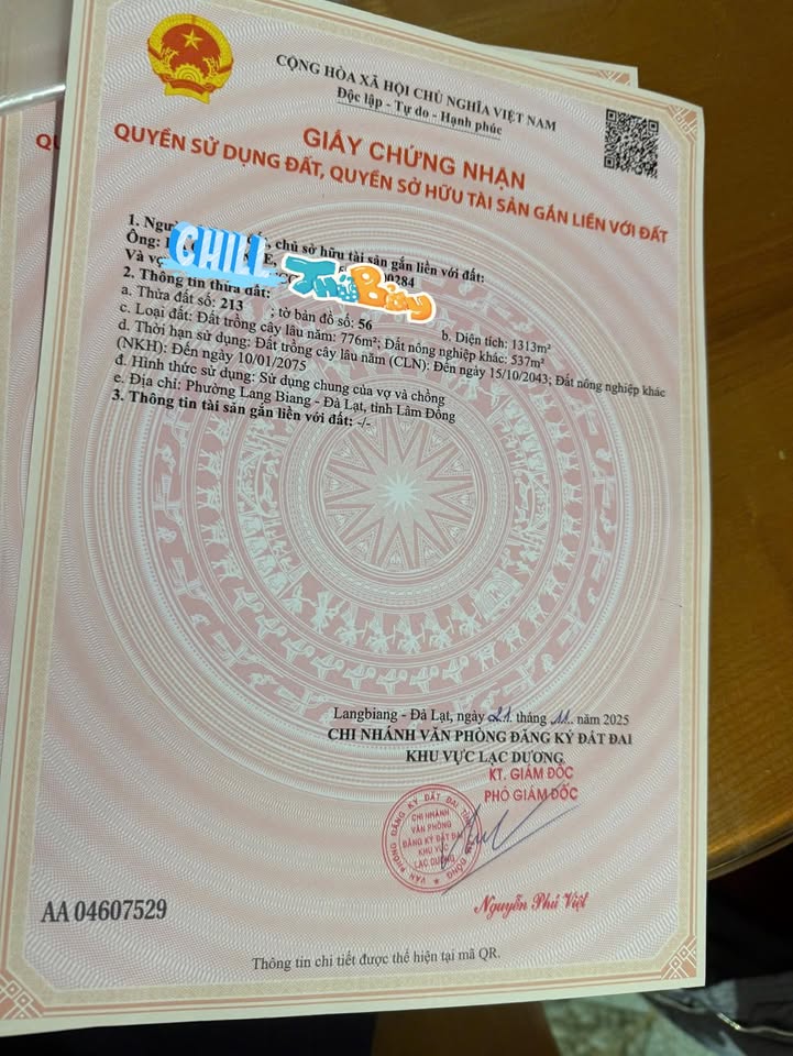 Đất mặt tiền phường Lang Biang, Lạc Dương 1313m² giá 15 tỷ - Chính chủ bán gấp!