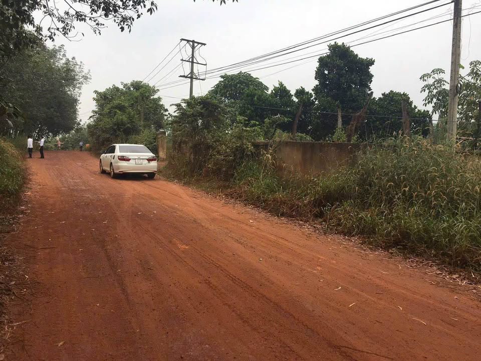 Đất lô góc Minh Hoà Dầu Tiếng 52000m² giá 26 tỷ - Cơ hội đầu tư sinh lời!