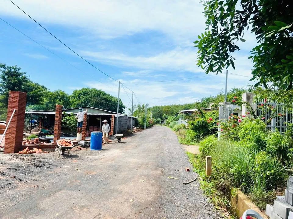 Đất nền Long Phước Thủ Đức 442m² giá 1.65 tỷ - Đường nhựa rộng, khu dân cư hiện hữu!