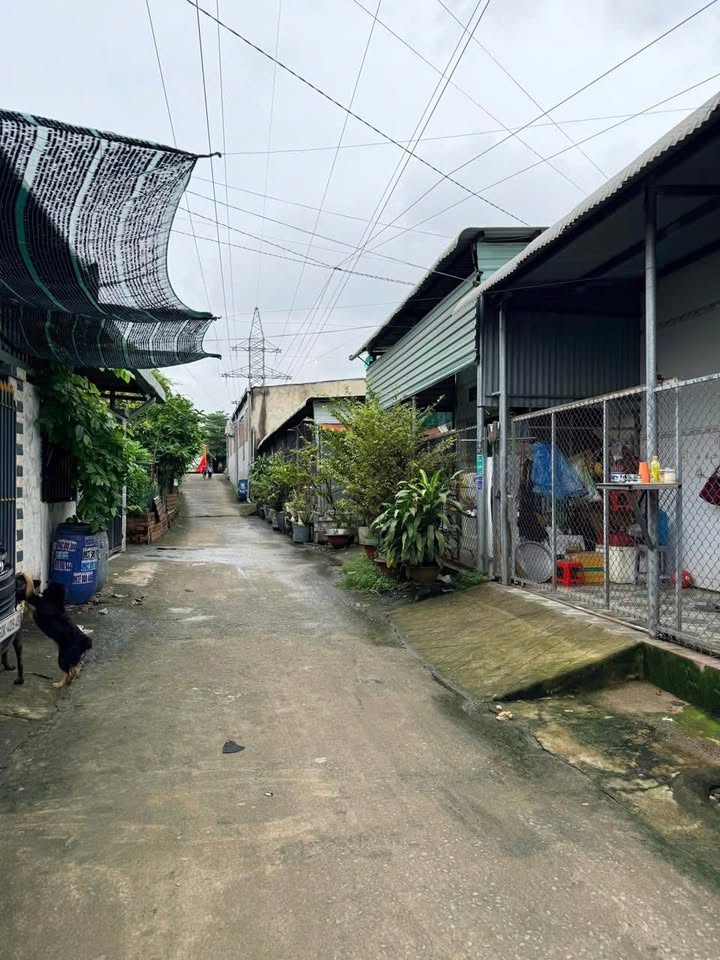 Đất nền ấp 2 Hiệp Phước, Nhơn Trạch 120m² giá chỉ 1.25 tỷ - Đầu tư sinh lời ngay!