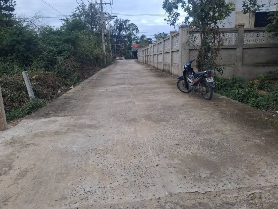 Đất thổ cư Hòa Hiệp Trung 96m² giá chỉ 730 triệu - Cơ hội đầu tư tuyệt vời!