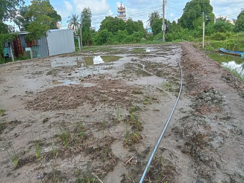 Đất vuông 8792m² ấp Bình Định, phường Hoà Thành, Cà Mau - Giá chỉ 3 tỷ!