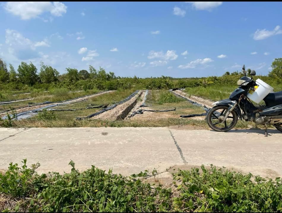 Đất mặt tiền Lương Thế Trân 2680m² giá 2.8 tỷ - Tiềm năng đầu tư tuyệt vời!