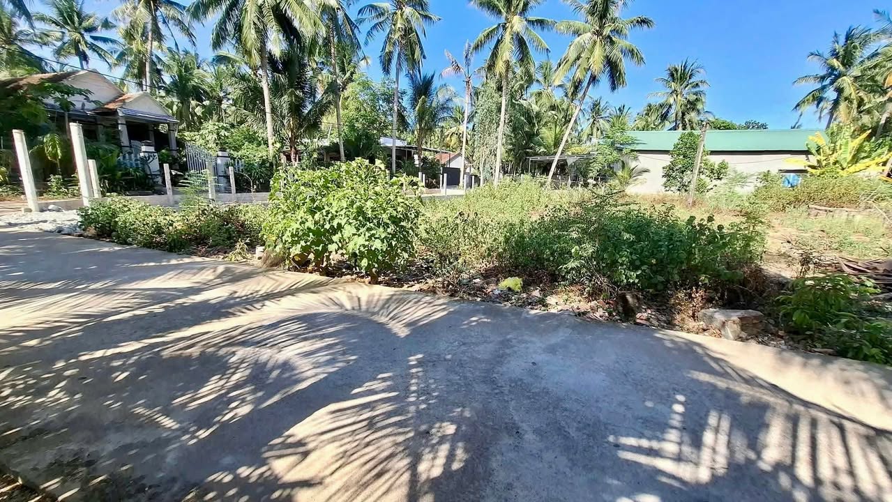 Đất thổ cư khu dân cư Tấn Thạnh 2, Hoài Hảo 168m² giá 800 triệu - Đầu tư sinh lời ngay!