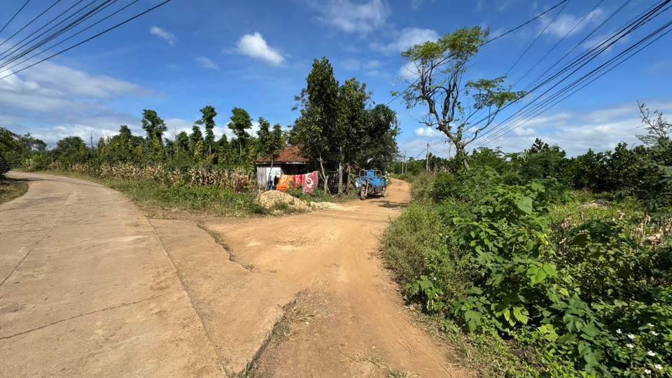 Đất nền thổ cư 234m² tại Đăk Wil, Cư Jút chỉ 280 triệu - Đầu tư sinh lời ngay!