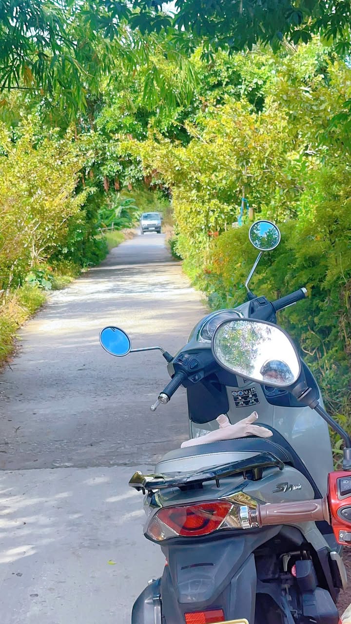 Đất nền 680m² tại ấp Kinh 3A, xã Tân Hiệp A - Giá chỉ 800 triệu