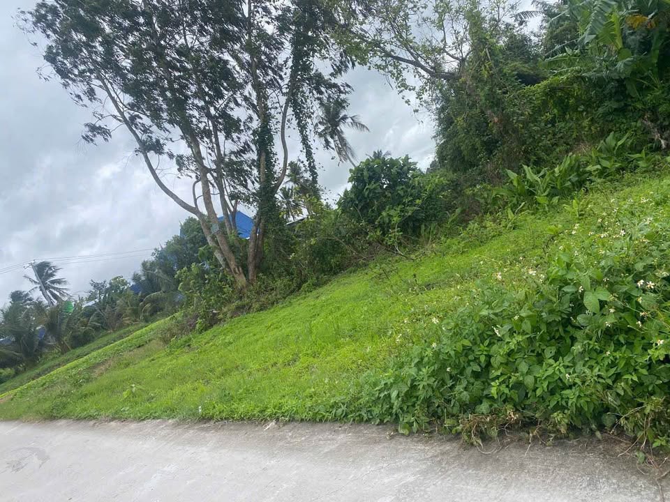 Đất nền Thạnh Lộc, Châu Thành 116m² giá 270 triệu - Mặt tiền sông, ô tô vào tận nơi!