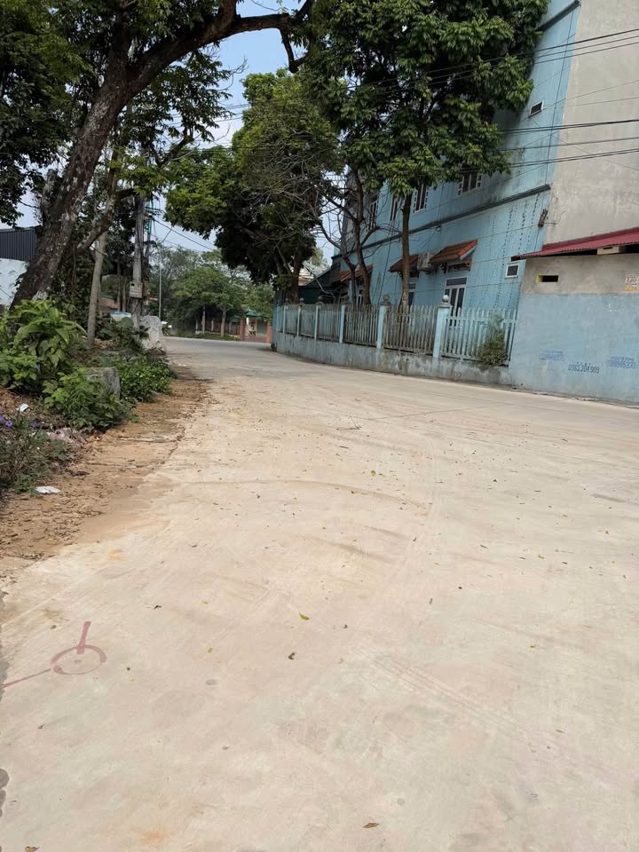 Đất thổ cư Hùng Sơn, Lâm Thao 87m² chỉ 870 triệu - Cơ hội đầu tư tuyệt vời!