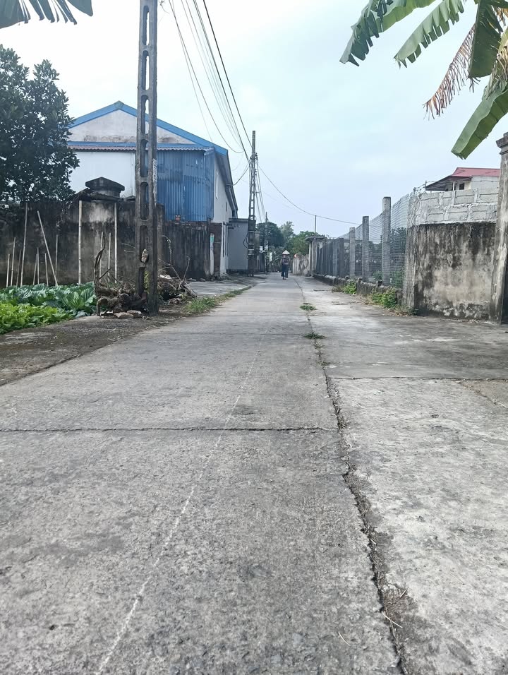 Đất nền thôn Hải Lạng Trang, xã Đồng Thịnh 300m² - Đầu tư sinh lời hấp dẫn!