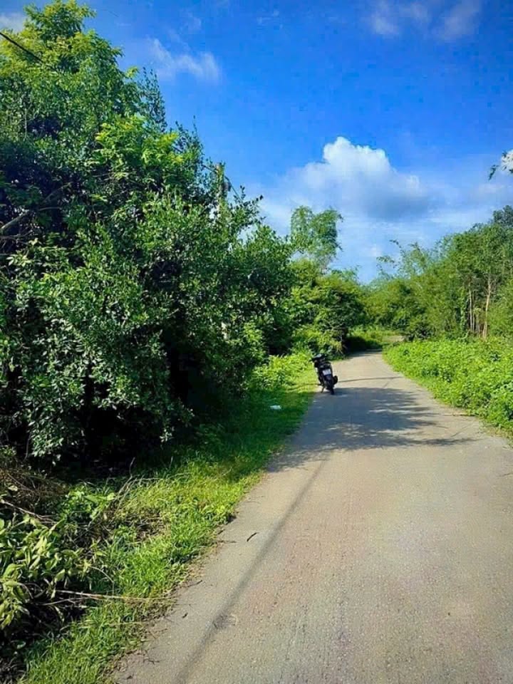 Đất nền Thái Mỹ Củ Chi 505m² giá 3.25 tỷ - Mặt tiền đường nhựa thuận lợi!