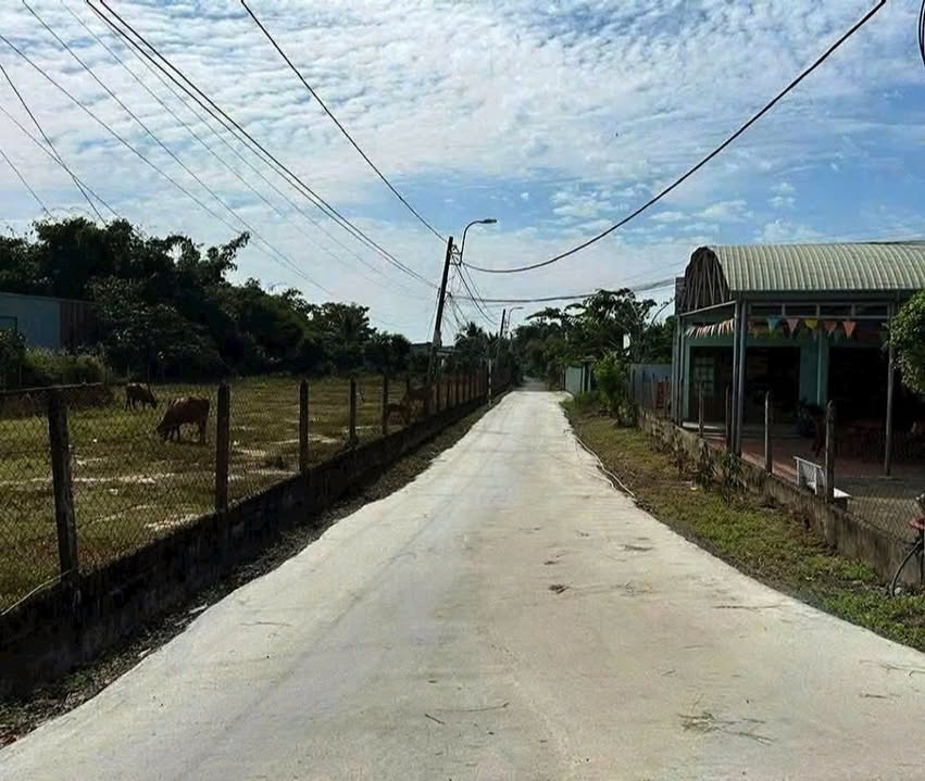 Đất thổ cư 266m² tại Tân Thạnh Đông, Củ Chi - Giá chỉ 3 tỷ, cơ hội đầu tư lý tưởng!