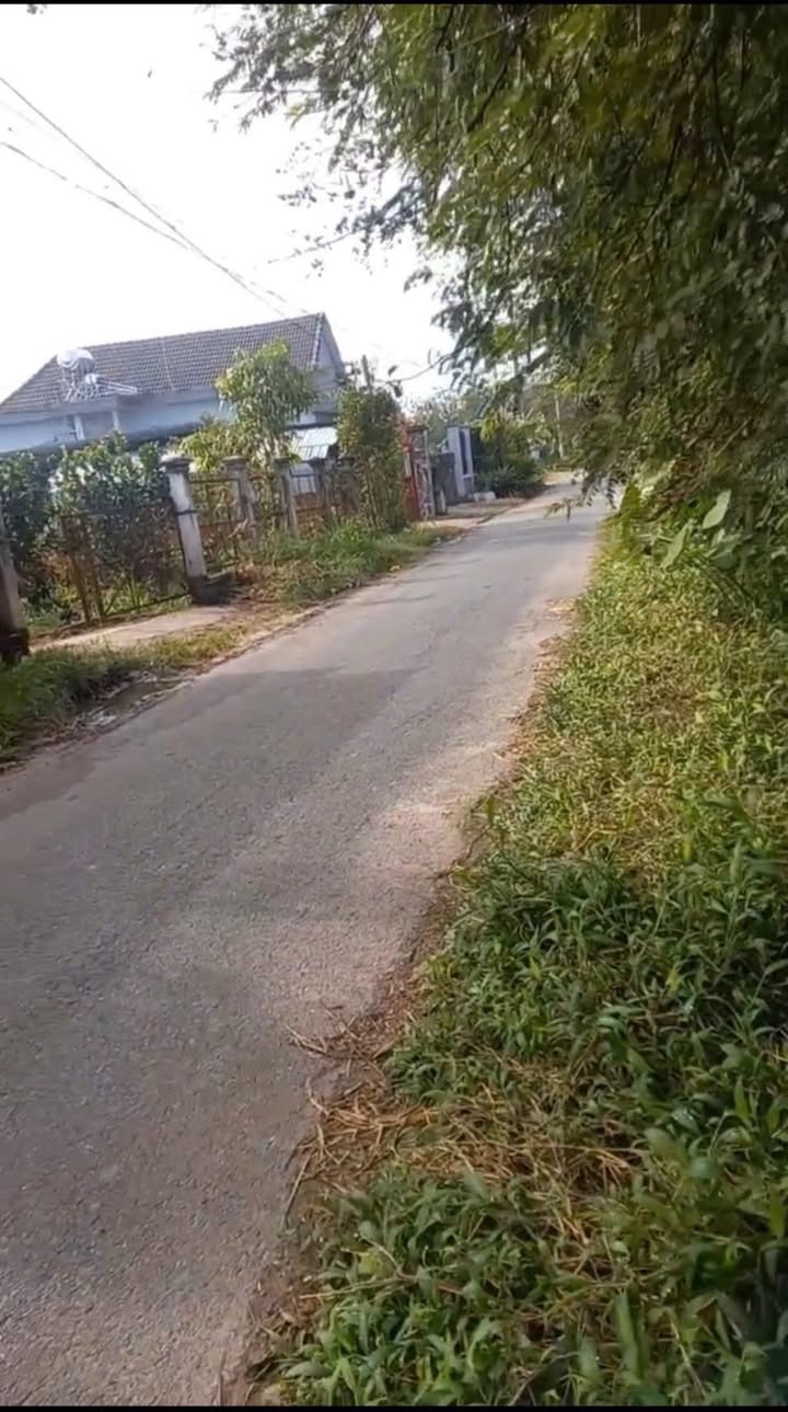 Đất vườn cây ăn trái An Nhơn Tây 1498m² giá chỉ 1.498 tỷ - Cơ hội đầu tư hấp dẫn!