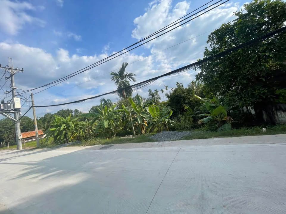 Đất mặt tiền Hà Duy Phiên, Củ Chi 2000m² - Pháp lý rõ ràng, giá thương lượng!