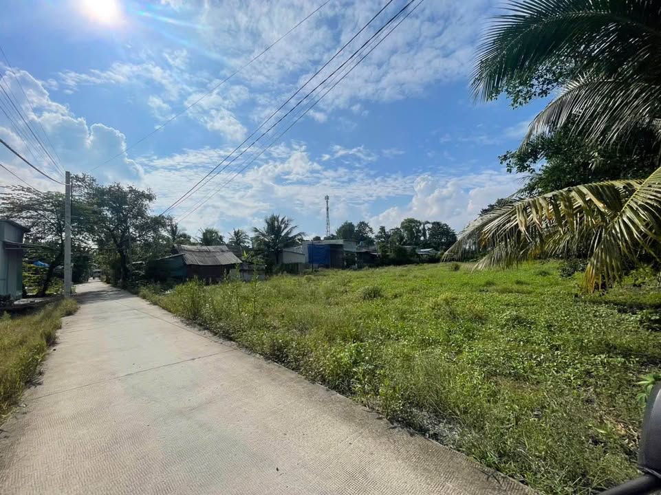 Đất vườn 3000m² tại Bình Mỹ, Củ Chi chỉ 9 tỷ - Vị trí đắc địa gần Vành Đai 3!