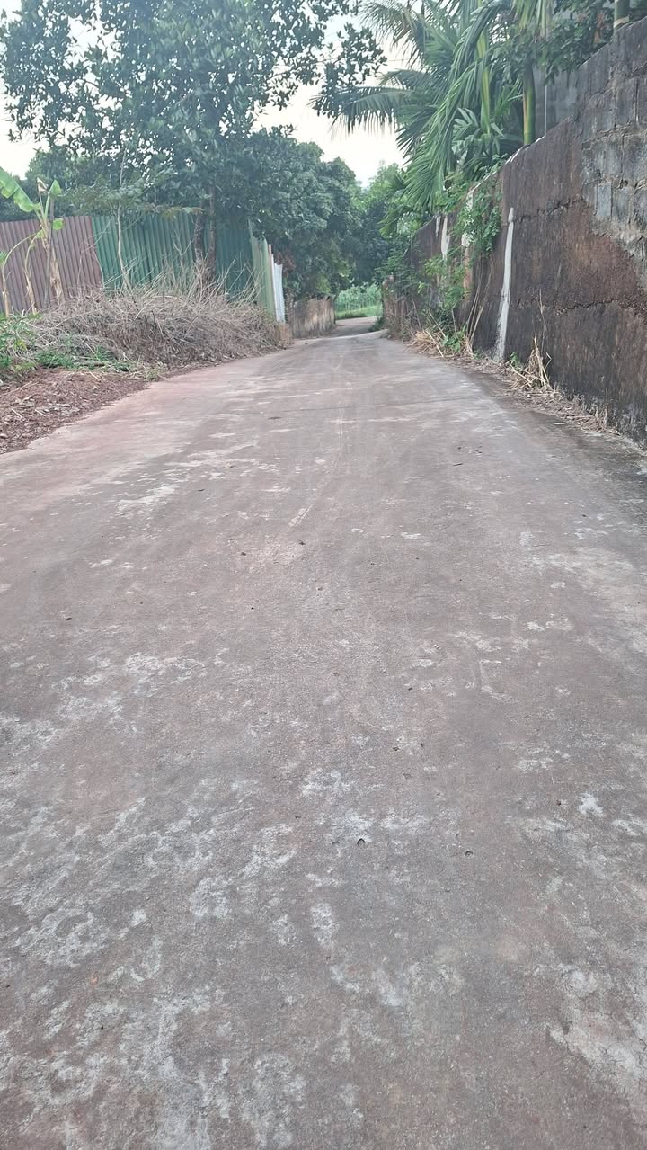 Đất thổ cư Tân Dĩnh Bắc Giang 90m² giá 700 triệu - Đầu tư sinh lời hấp dẫn!