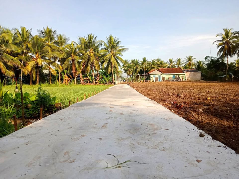 Đất nền 4353m² tại Ấp Thạnh An, Tiền Giang - Giá chỉ 450 triệu!