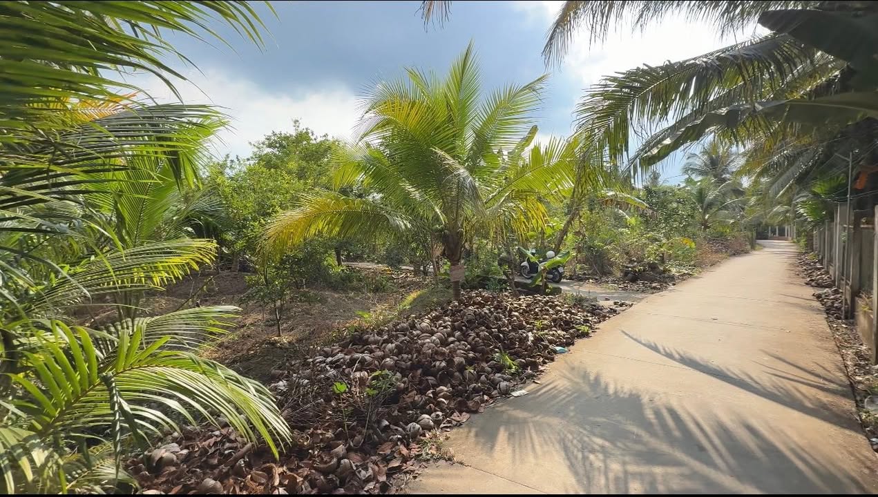 Đất nền Bình Trưng - Châu Thành, Tiền Giang 1800m² - Cắt bán theo nhu cầu, giá chỉ 2.25 tỷ!