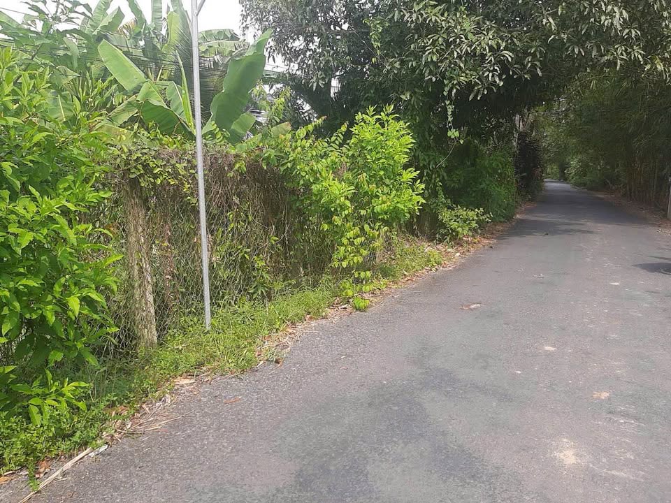 Đất mặt tiền lộ ấp 2, Tam Hiệp, 1821m² giá 2.9 tỷ - Đầu tư sinh lời tiềm năng!