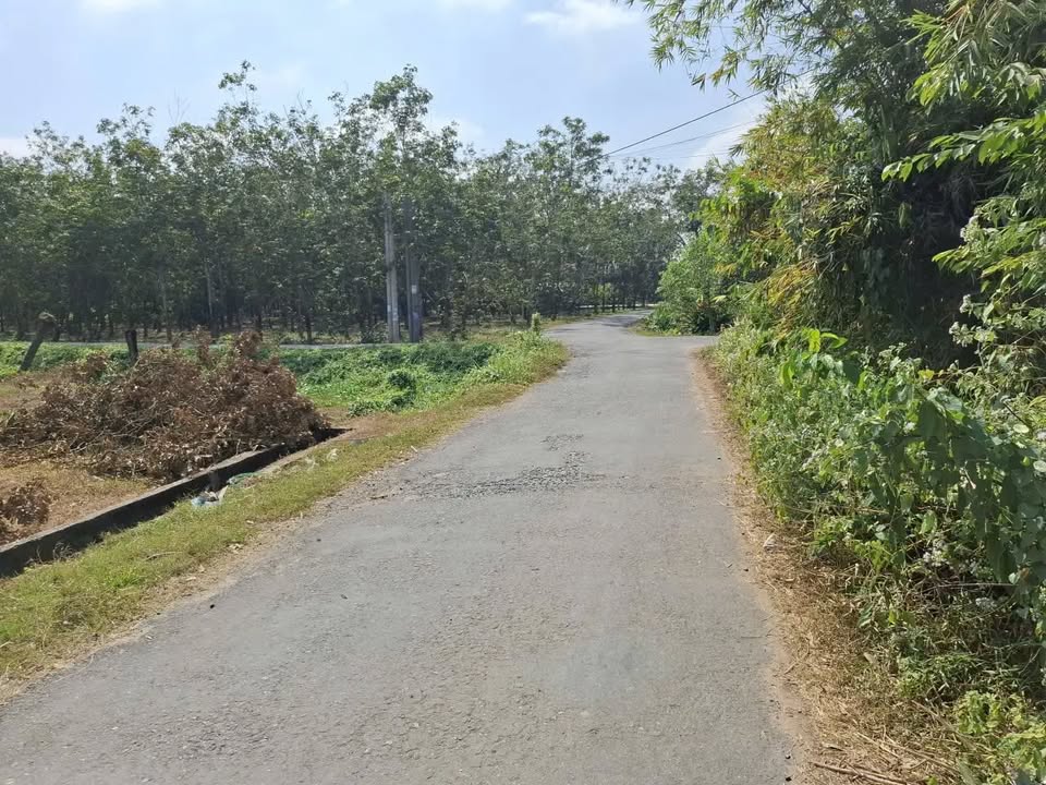 Đất mặt tiền Trảng Sa, Tây Ninh 2184m² - Thích hợp xây kho xưởng, nhà trọ!