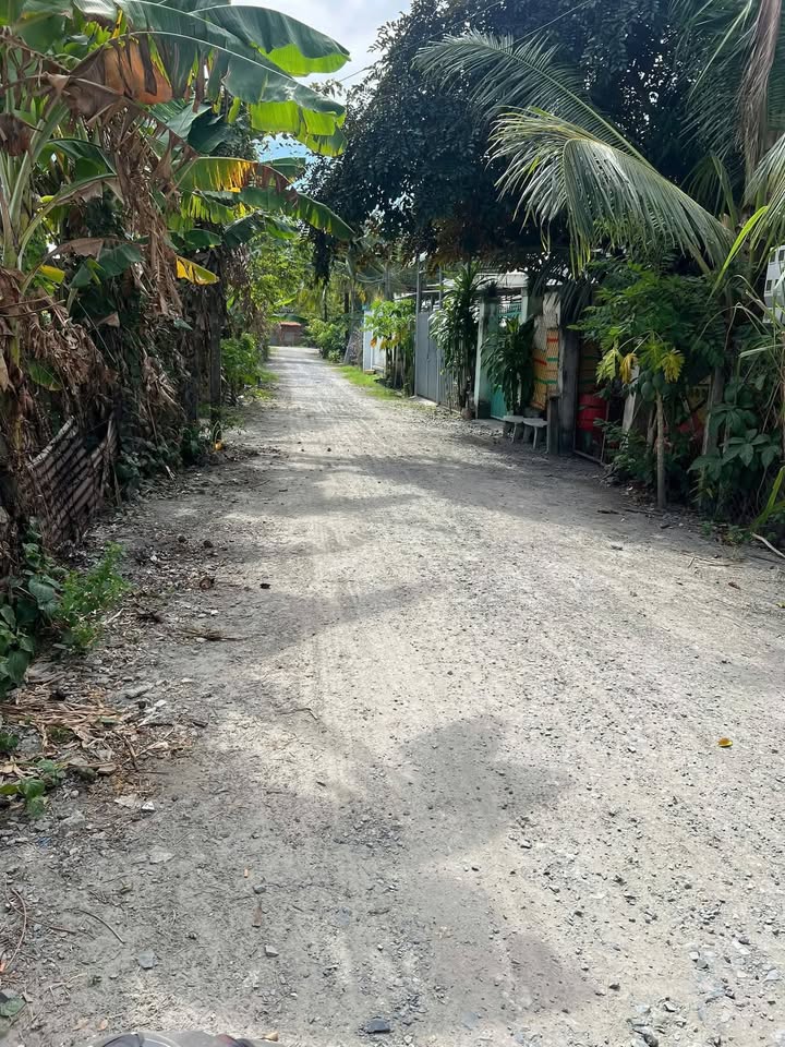 Đất thổ cư Ninh Thạnh, Tây Ninh 161m² giá 700 triệu - Bán gấp trước Tết!