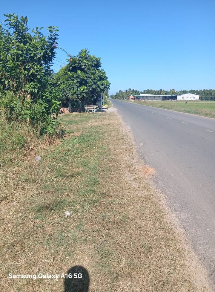 Đất nền Châu Thành Tây Ninh 750m² giá thương lượng - Mặt tiền đường 788 thuận lợi kinh doanh!