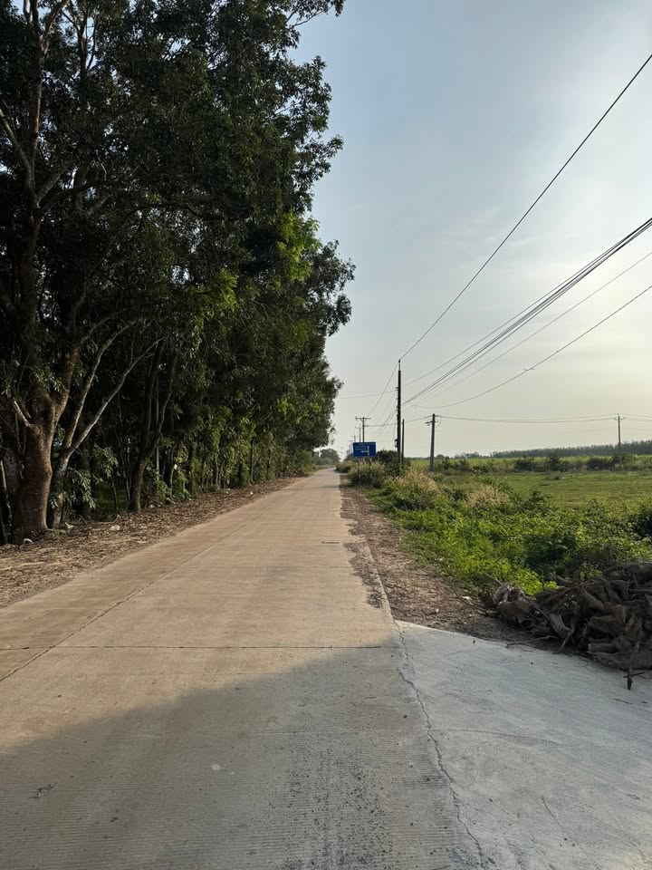 Đất nền Hòa Hội, Châu Thành, Tây Ninh 10ha giá thỏa thuận - Tiềm năng lớn cho đầu tư!