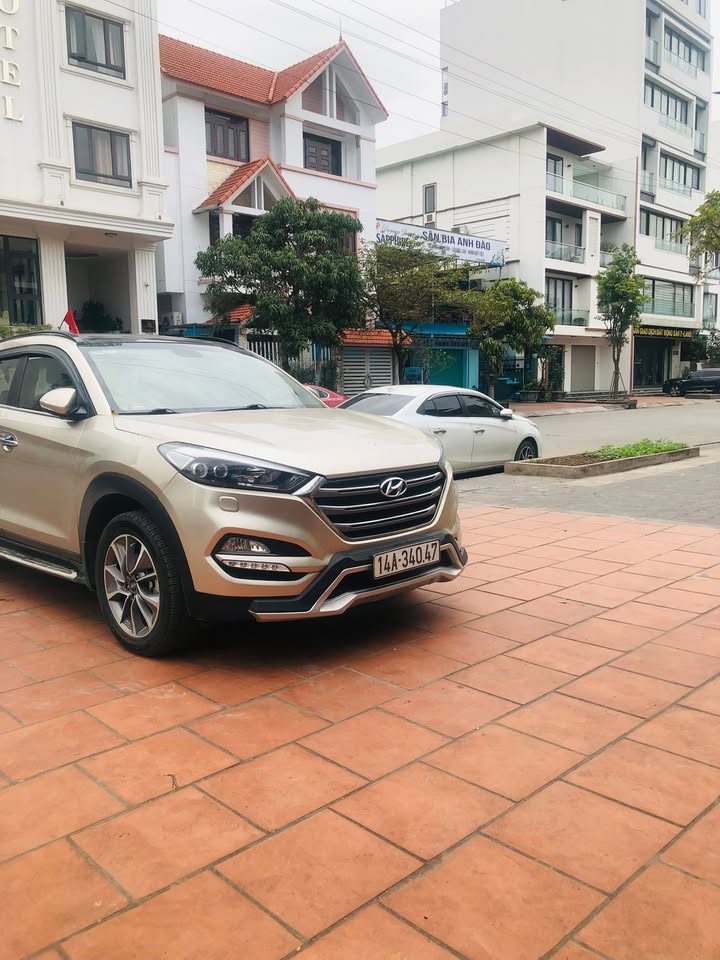 Đất nền Bãi Cháy, Hạ Long 130m² giá 9.1 tỷ - Sổ đỏ chính chủ, đầy đủ tiện ích!