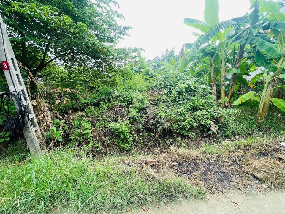 Đất kiệt 15 Nguyễn Hạnh, phường Thủy Vân, TP Huế 100m² giá 1.1 tỷ - Tiềm năng tăng giá cao!